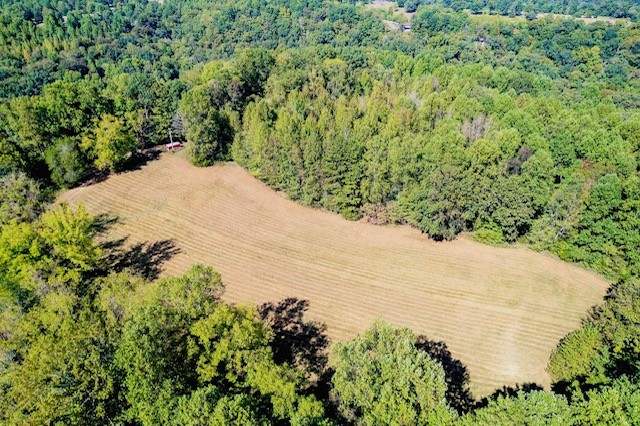 0 Bolestown Loop Lot 2 Alpine TN 38543