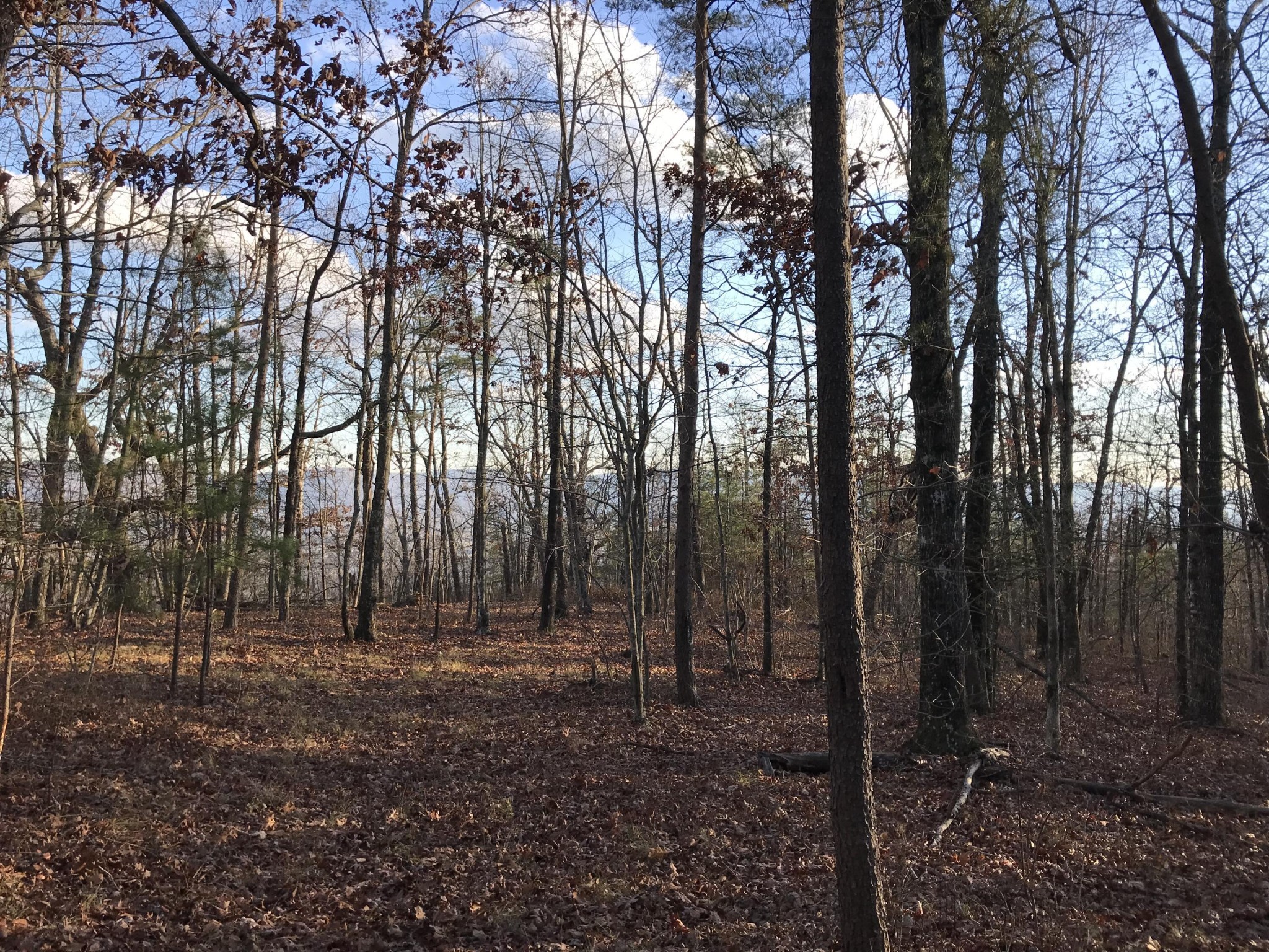 1 Vista View Drive, S Dunlap TN 37327