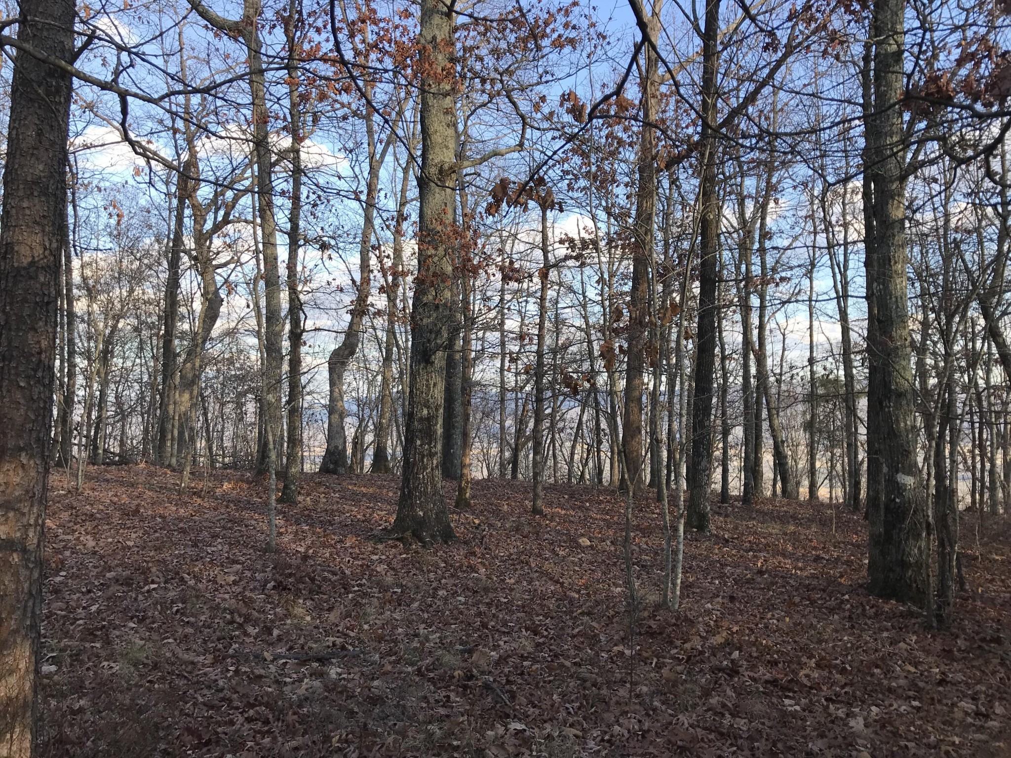1 Vista View Drive, S Dunlap TN 37327