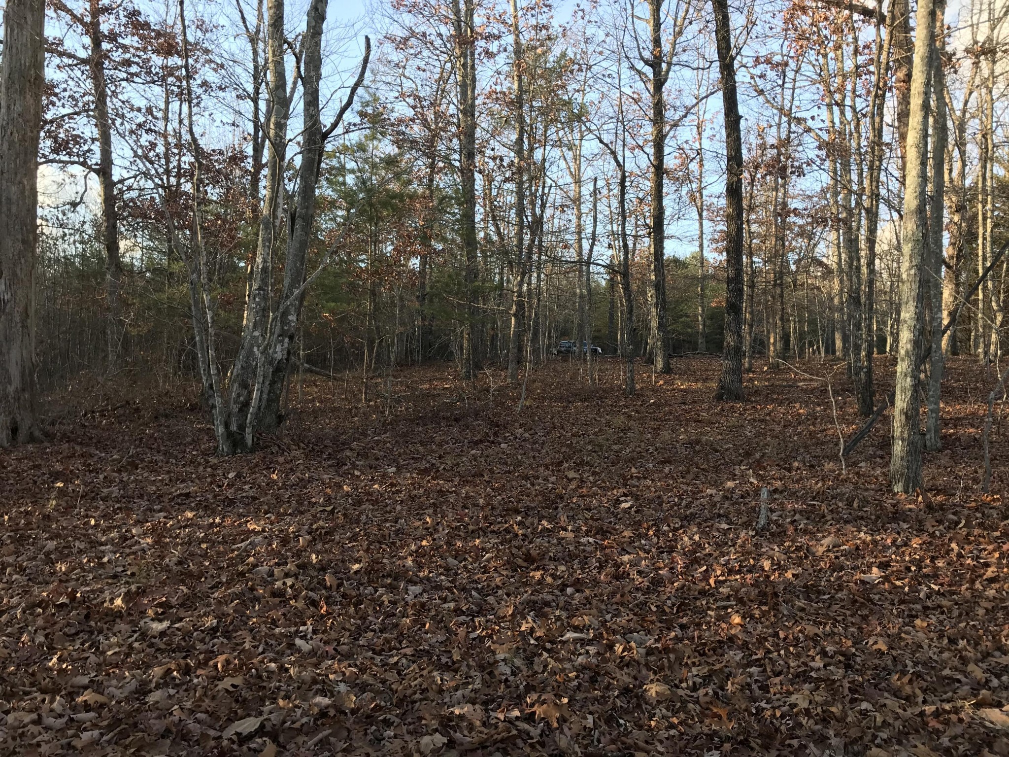 1 Vista View Drive, S Dunlap TN 37327