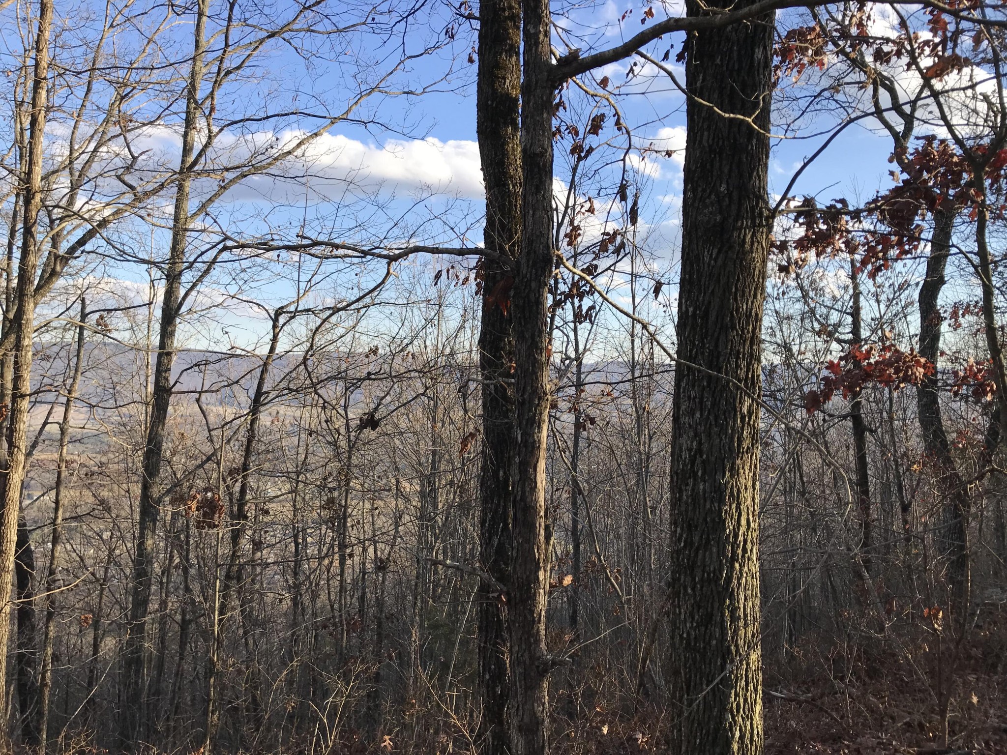 1 Vista View Drive, S Dunlap TN 37327