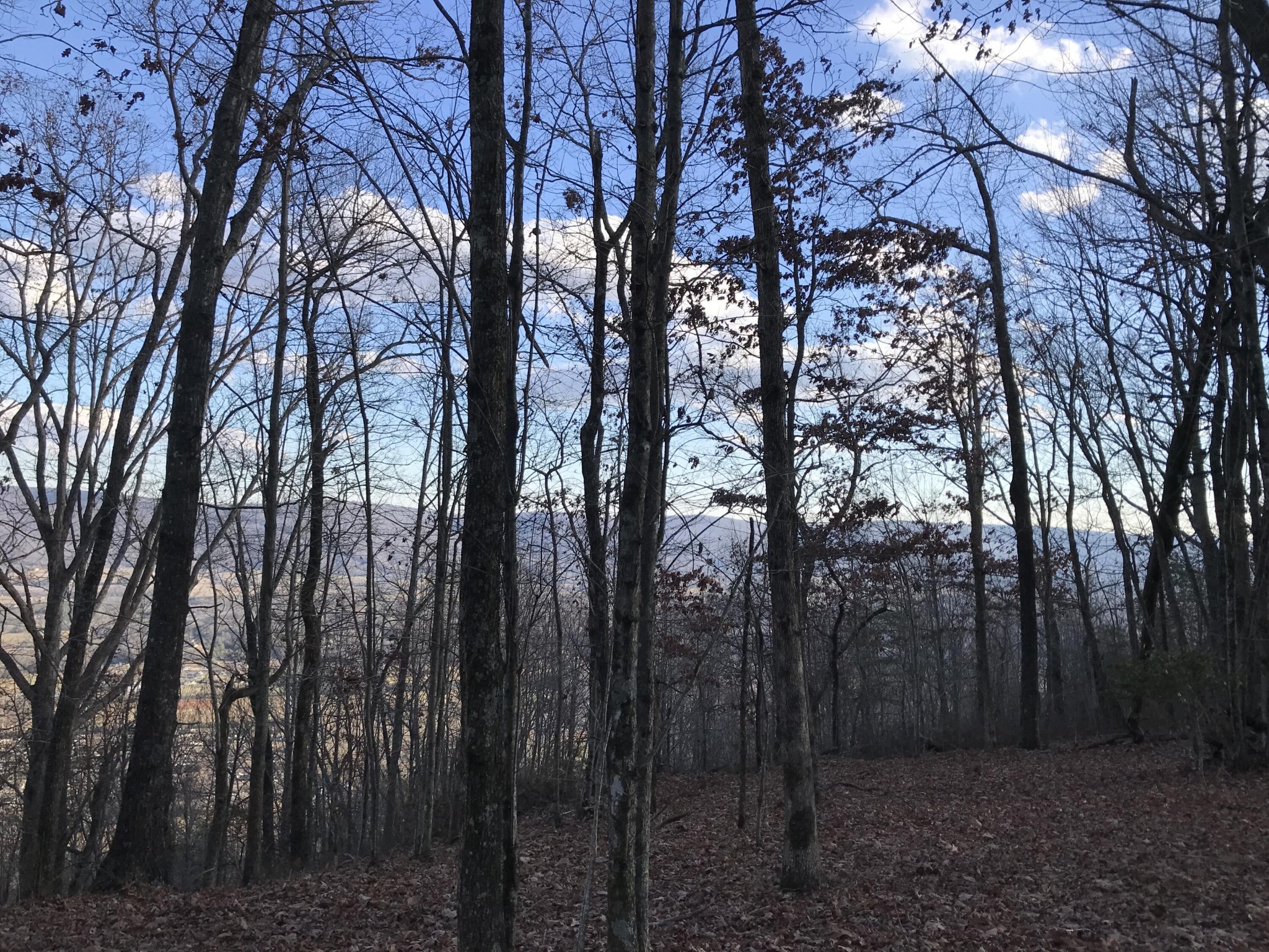 1 Vista View Drive, S Dunlap TN 37327