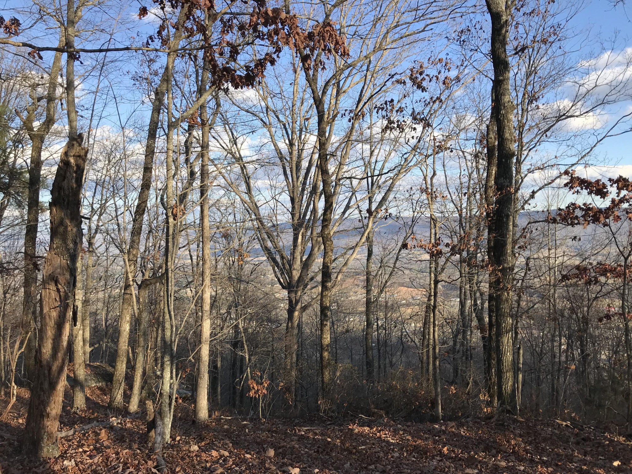 1 Vista View Drive, S Dunlap TN 37327