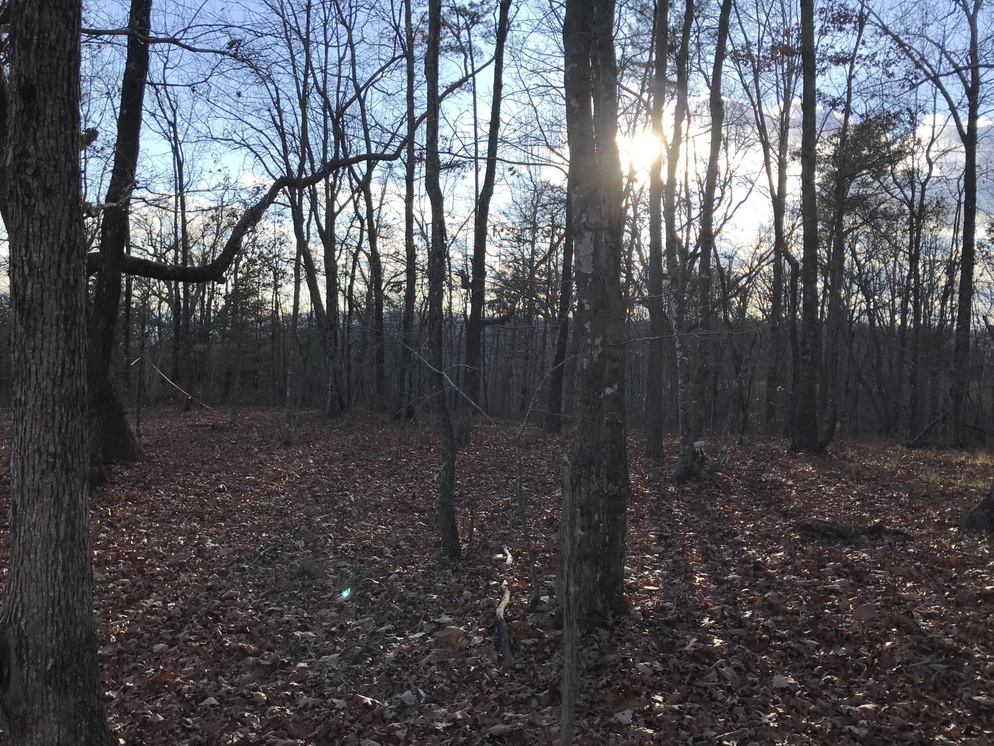 1 Vista View Drive, S Dunlap TN 37327
