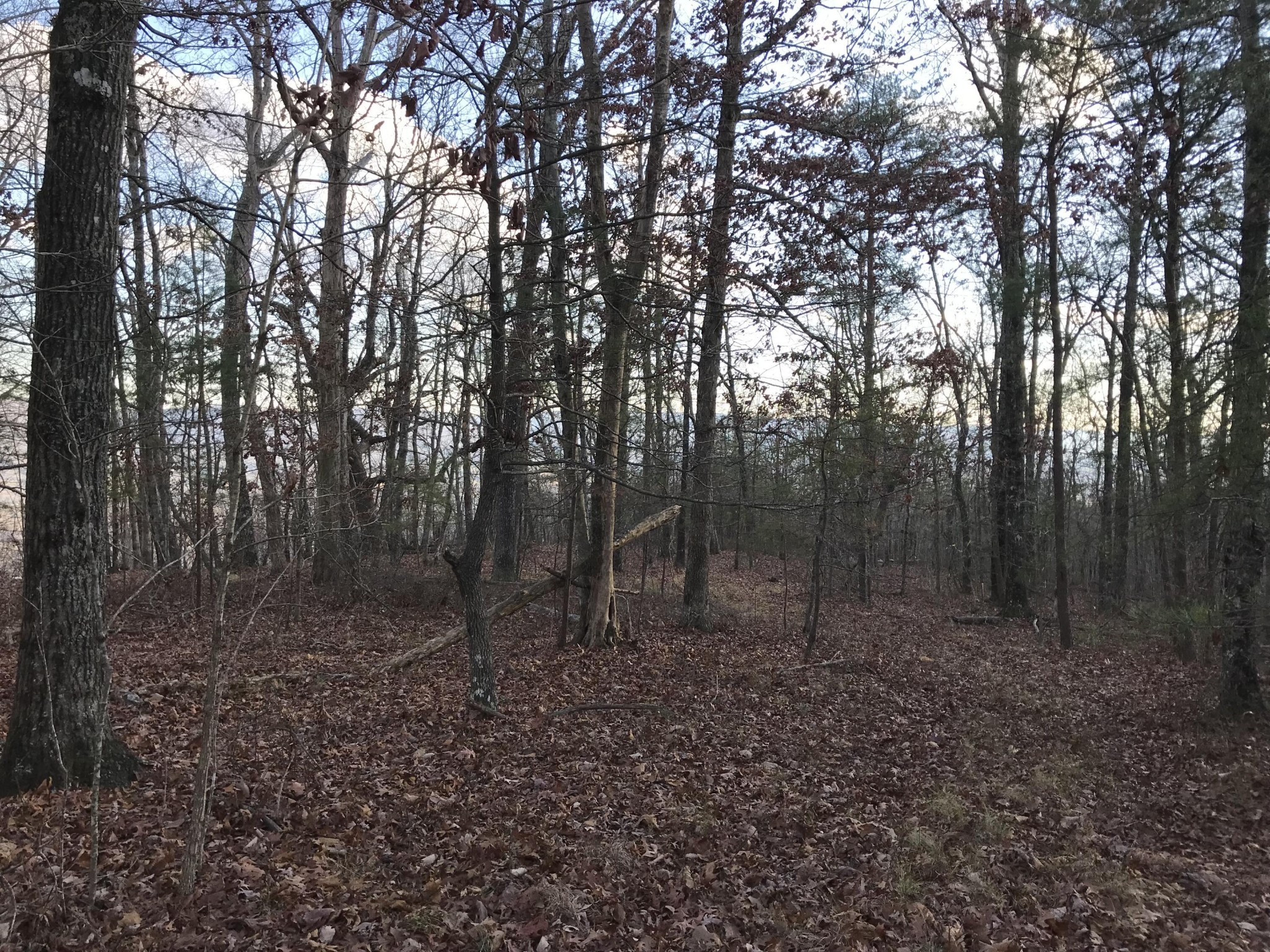 1 Vista View Drive, S Dunlap TN 37327