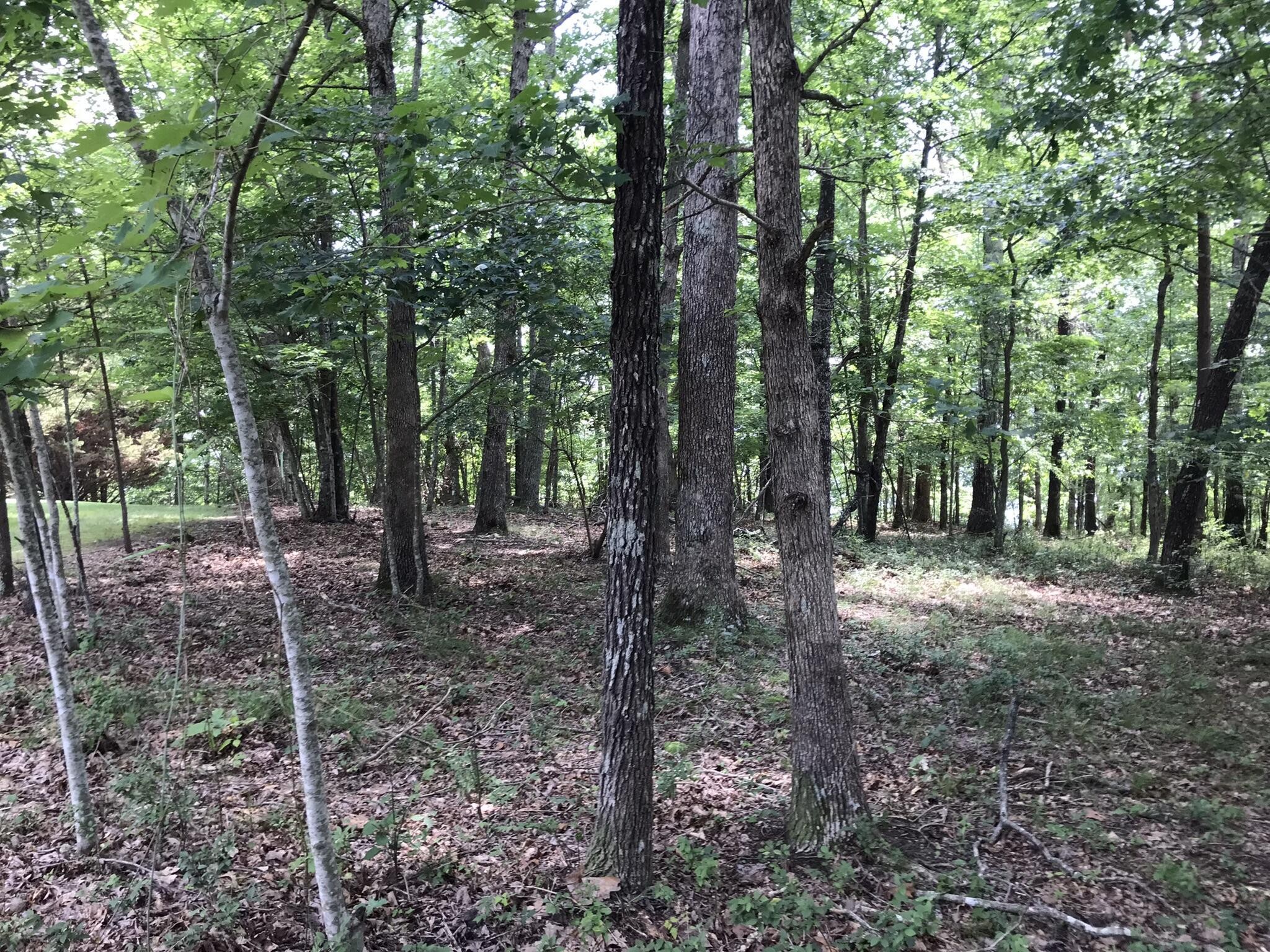 1 Vista View Drive, S Dunlap TN 37327