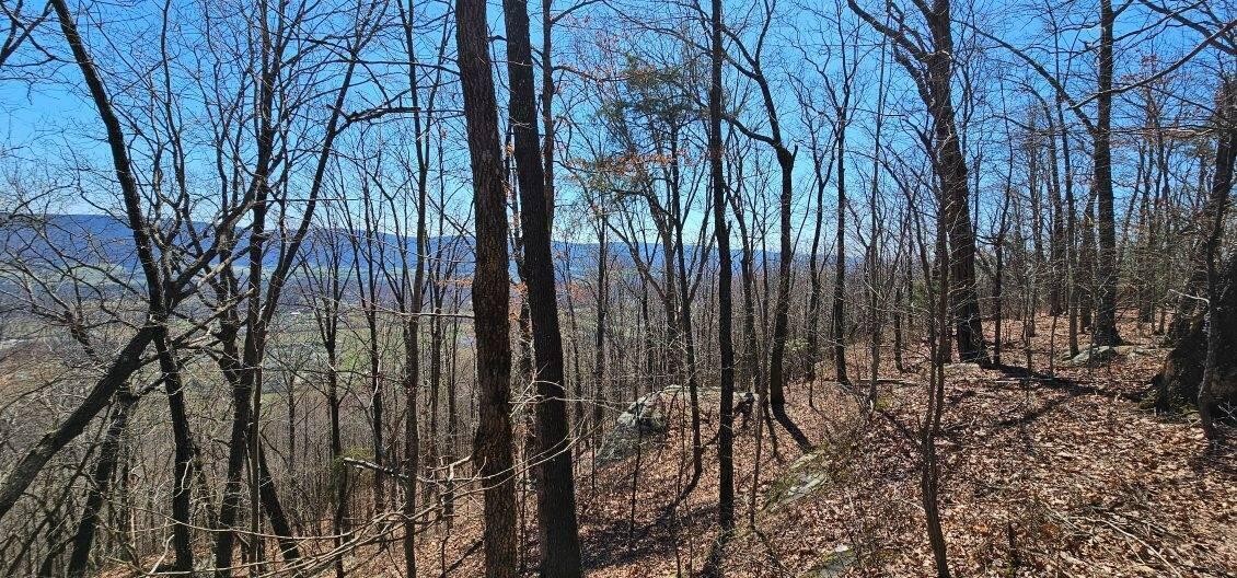 1 Vista View Drive, S Dunlap TN 37327