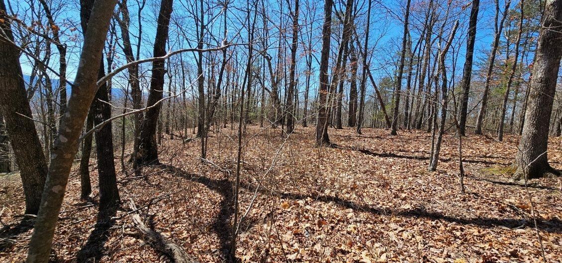 1 Vista View Drive, S Dunlap TN 37327