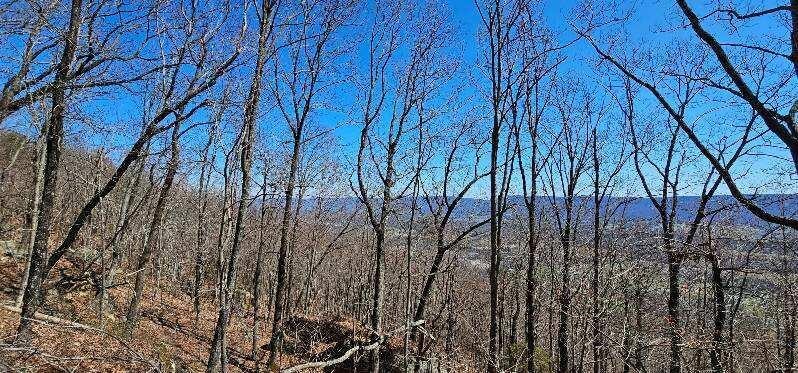 1 Vista View Drive, S Dunlap TN 37327