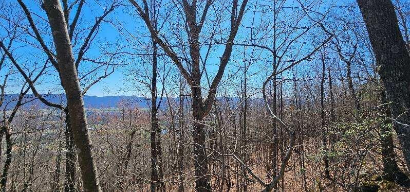 1 Vista View Drive, S Dunlap TN 37327