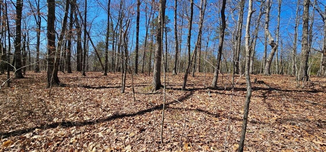 1 Vista View Drive, S Dunlap TN 37327