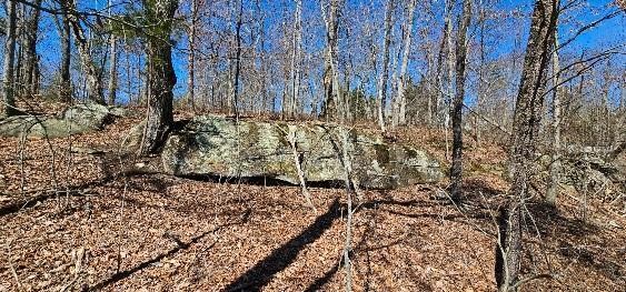 1 Vista View Drive, S Dunlap TN 37327