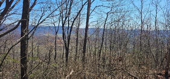 1 Vista View Drive, S Dunlap TN 37327