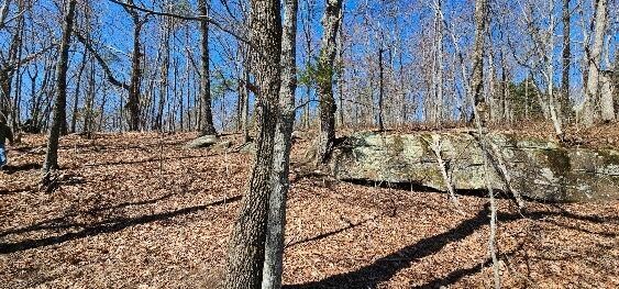 1 Vista View Drive, S Dunlap TN 37327