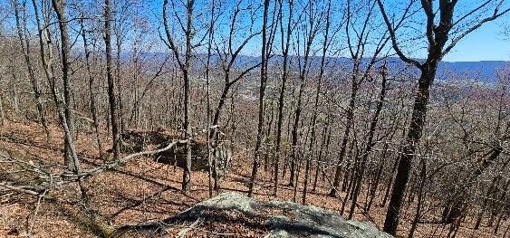 1 Vista View Drive, S Dunlap TN 37327