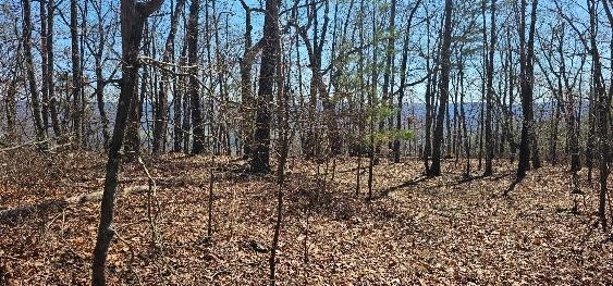 1 Vista View Drive, S Dunlap TN 37327