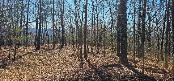 1 Vista View Drive, S Dunlap TN 37327
