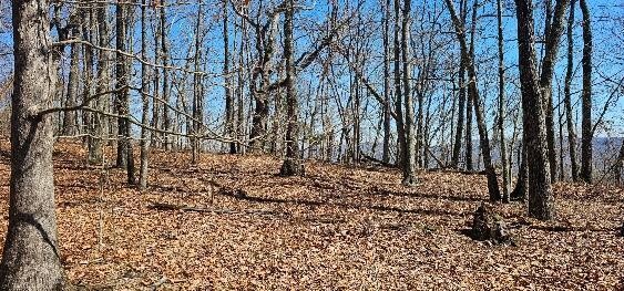 1 Vista View Drive, S Dunlap TN 37327