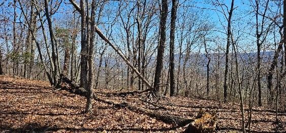 1 Vista View Drive, S Dunlap TN 37327