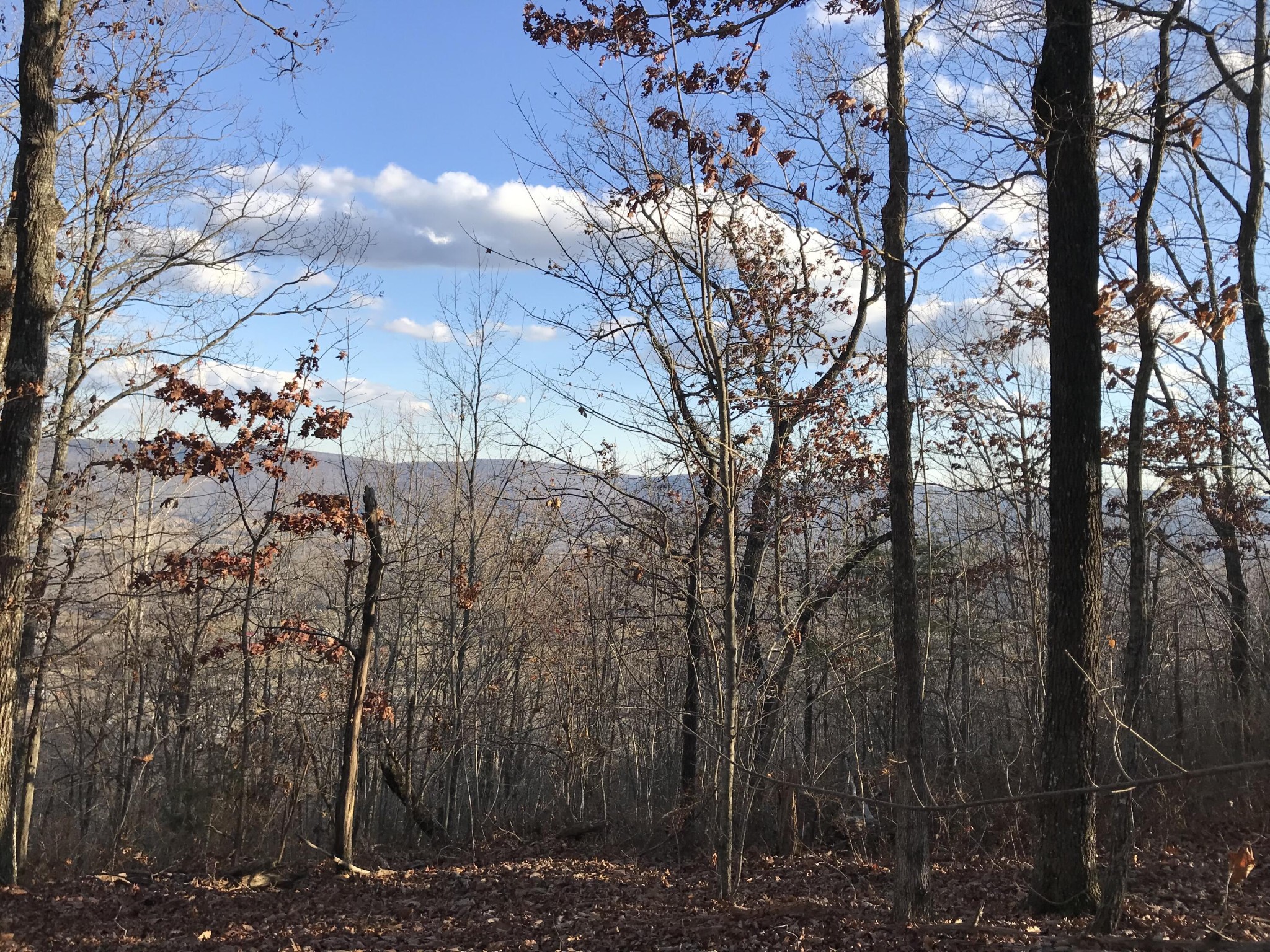 1 Vista View Drive, S Dunlap TN 37327