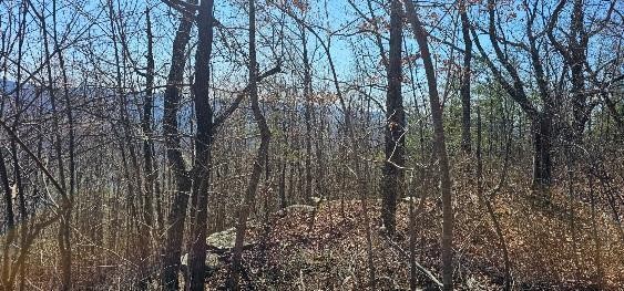 1 Vista View Drive, S Dunlap TN 37327