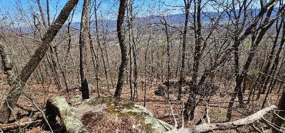 1 Vista View Drive, S Dunlap TN 37327