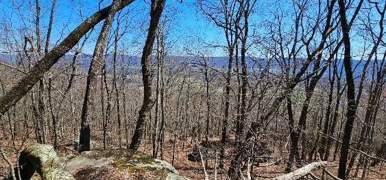 1 Vista View Drive, S Dunlap TN 37327