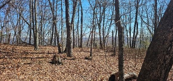 1 Vista View Drive, S Dunlap TN 37327
