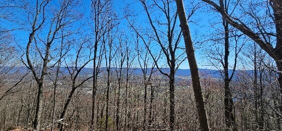 1 Vista View Drive, S Dunlap TN 37327