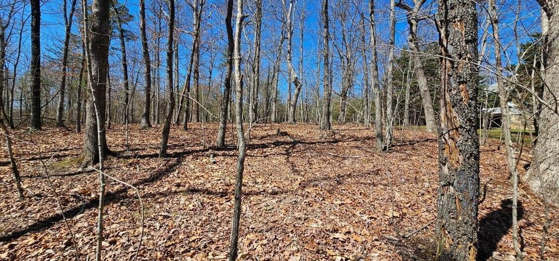 1 Vista View Drive, S Dunlap TN 37327