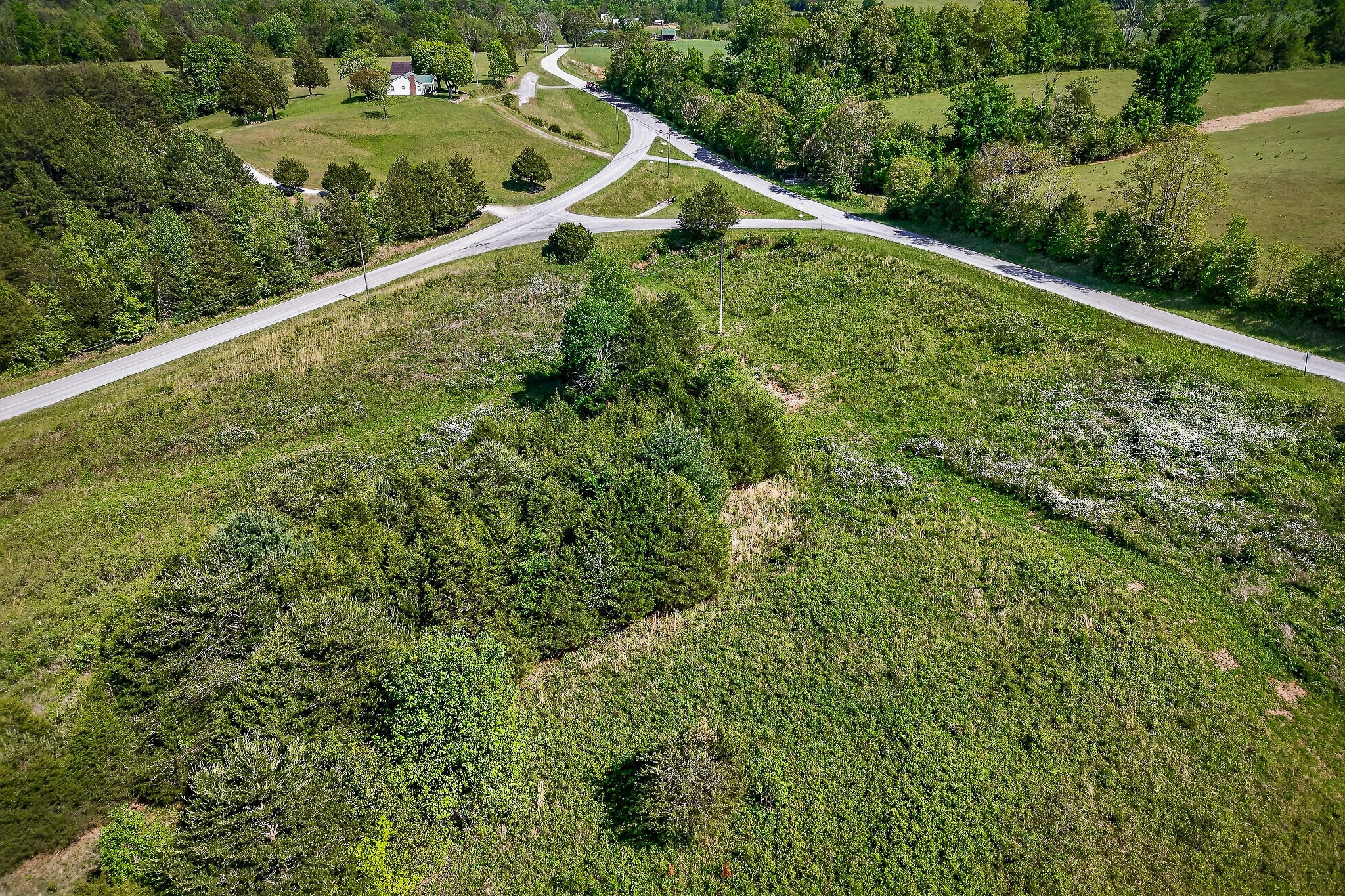305 Caney Bend Road Doyle TN 38559