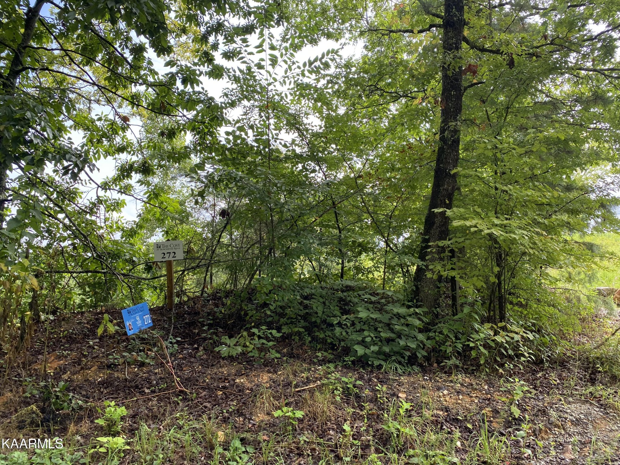 4556 Huffine Road Loudon TN 37774