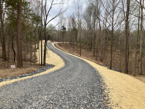6 Daugherty Capley Primm Springs TN 38476
