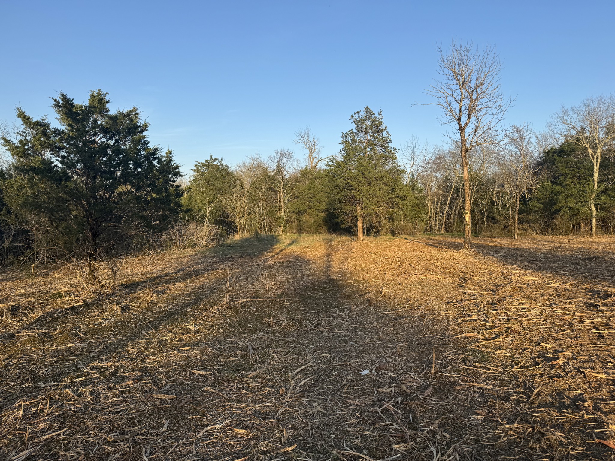 0 Joe Peay Road Spring Hill TN 37174