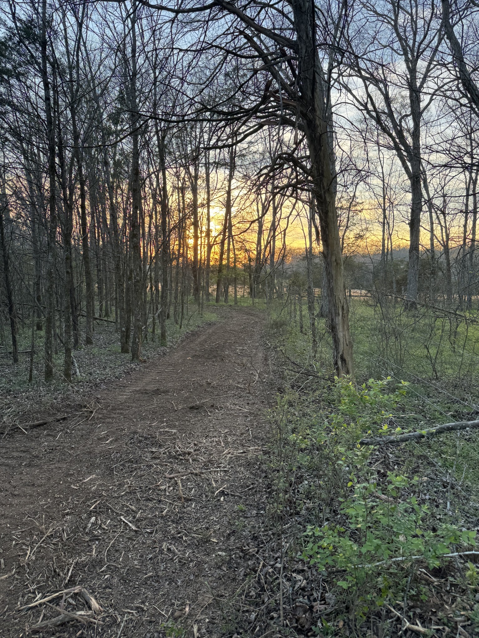 0 Joe Peay Road Spring Hill TN 37174