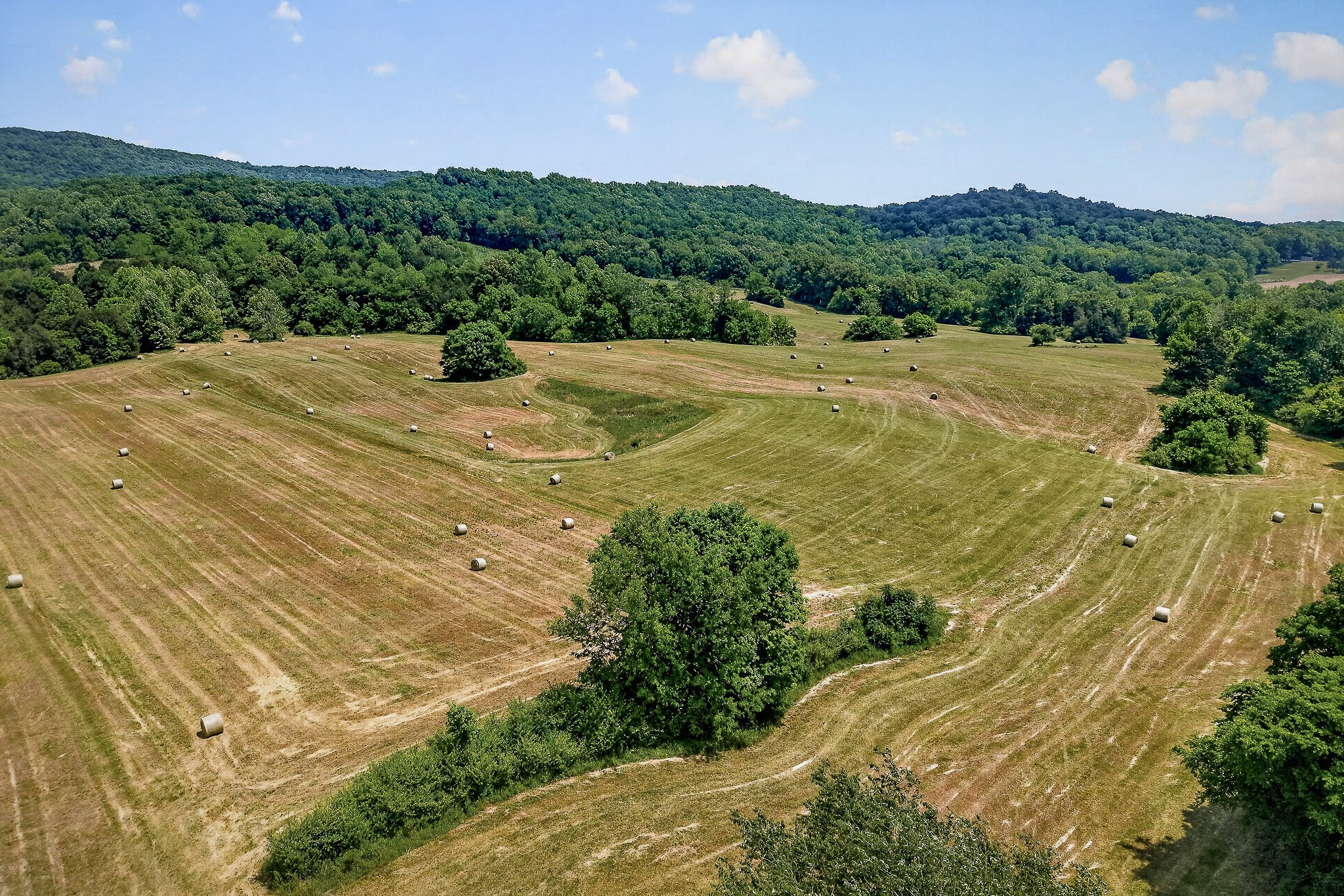 1372 Plum Creek Road Sparta TN 38583