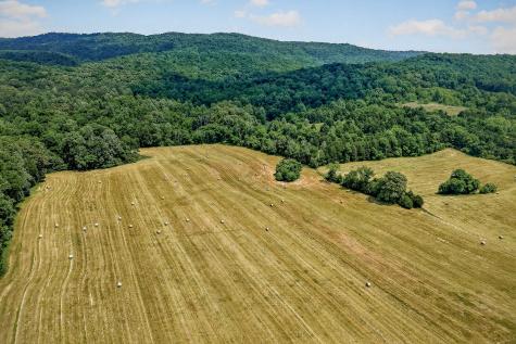 1372 Plum Creek Road Sparta TN 38583