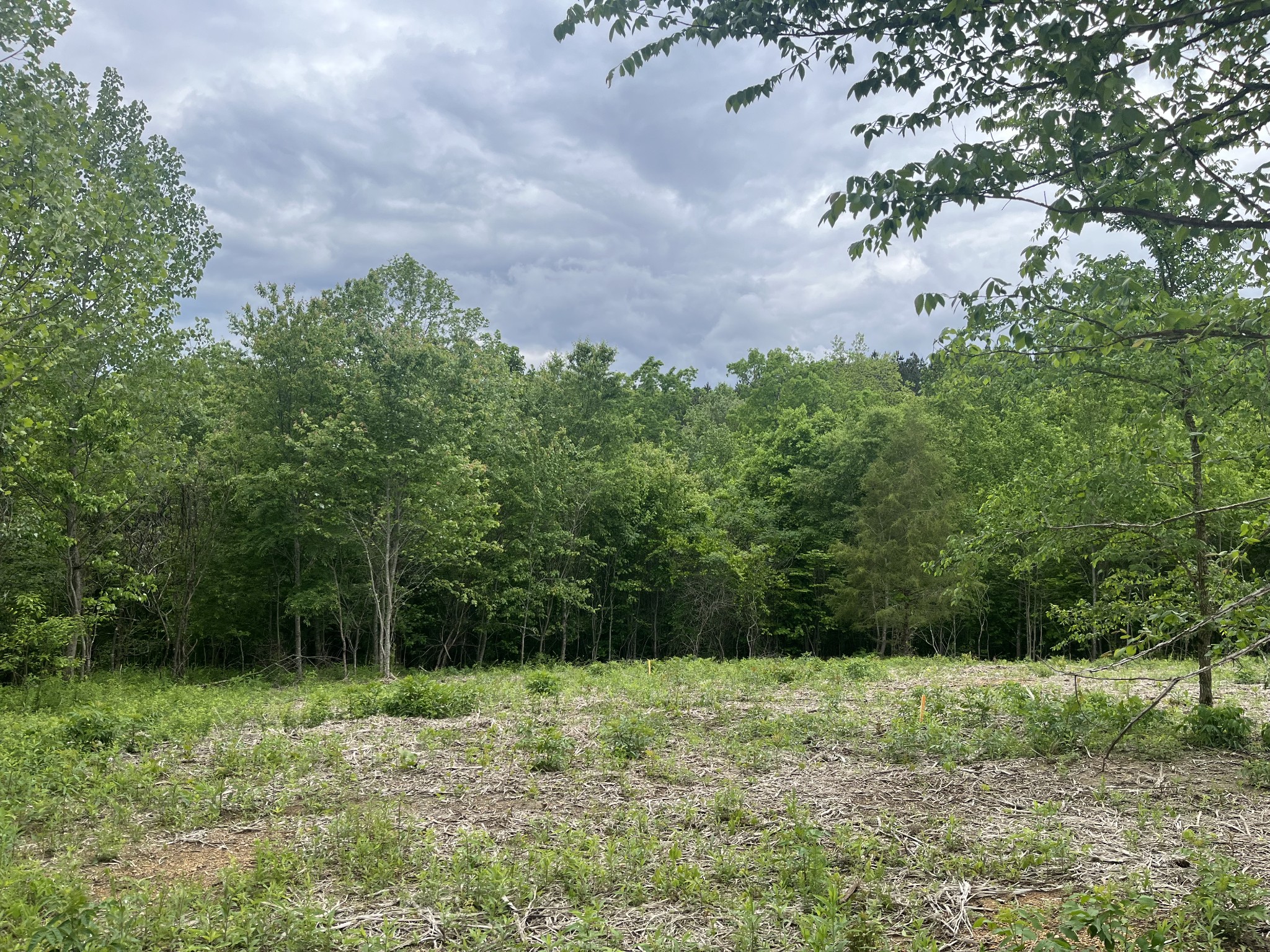 0 Old Mail Road Duck River TN 38454