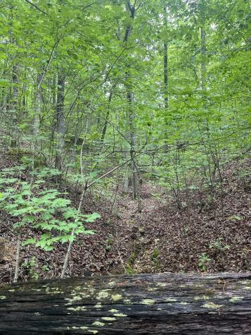 0 Old Mail Road Duck River TN 38454