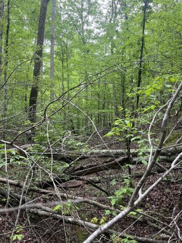 0 Old Mail Road Duck River TN 38454