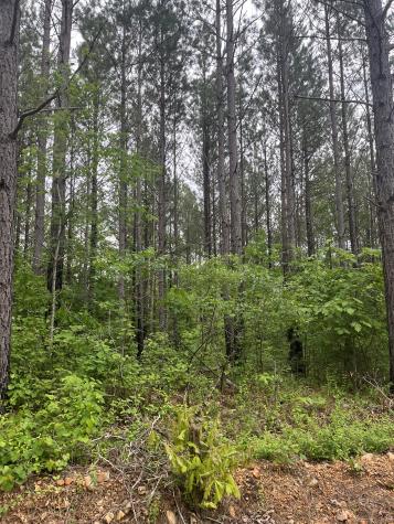 0 Old Mail Road Duck River TN 38454
