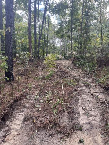 0 Old Mail Road Duck River TN 38454