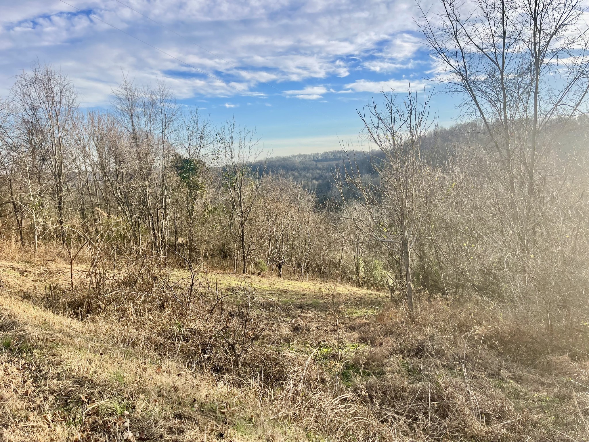 0 Old Lake Road Lewisburg TN 37091