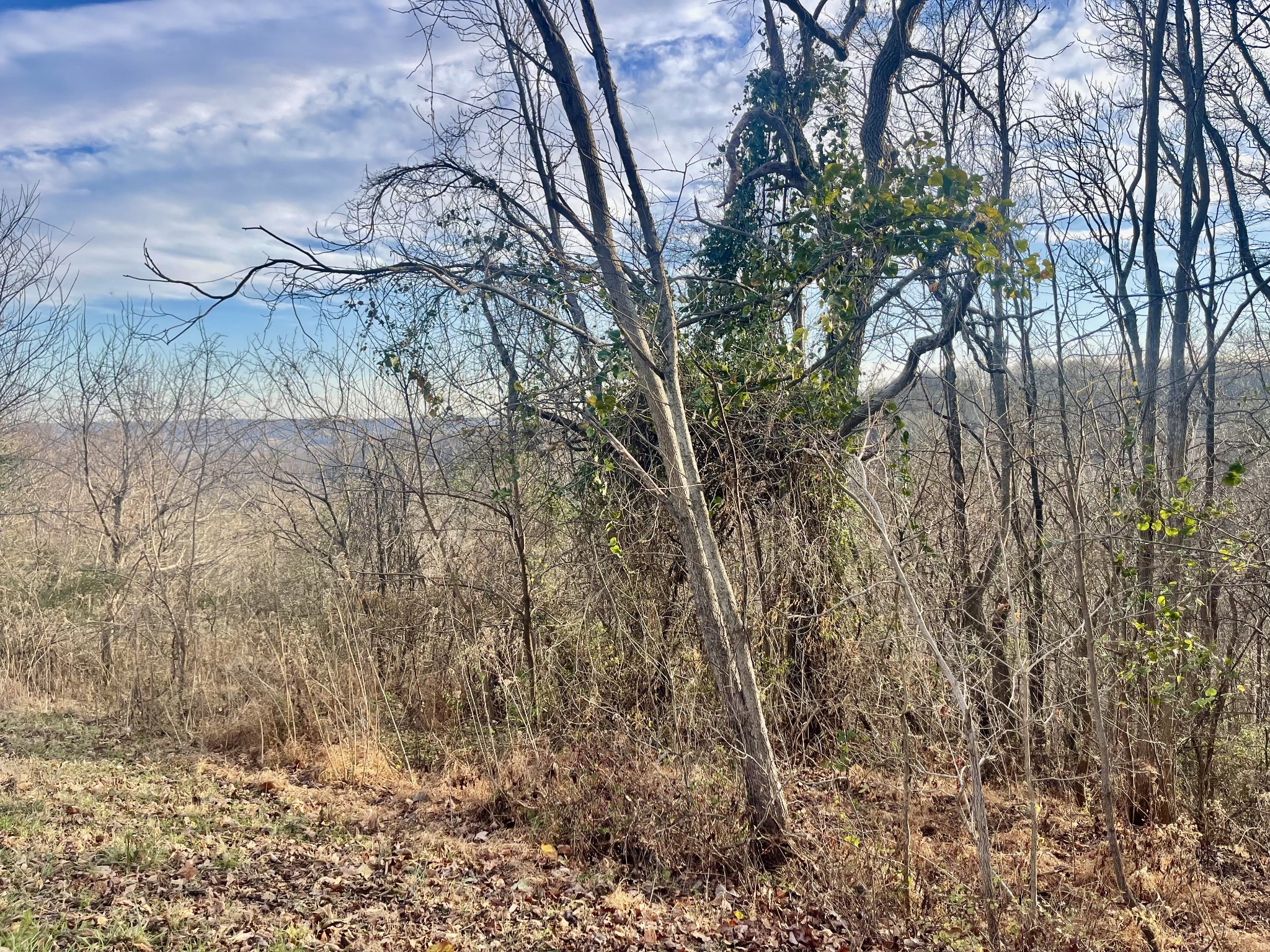 0 Old Lake Road Lewisburg TN 37091