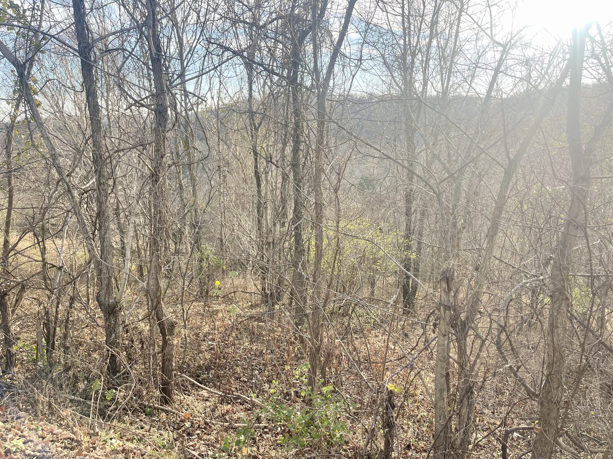 0 Old Lake Road Lewisburg TN 37091