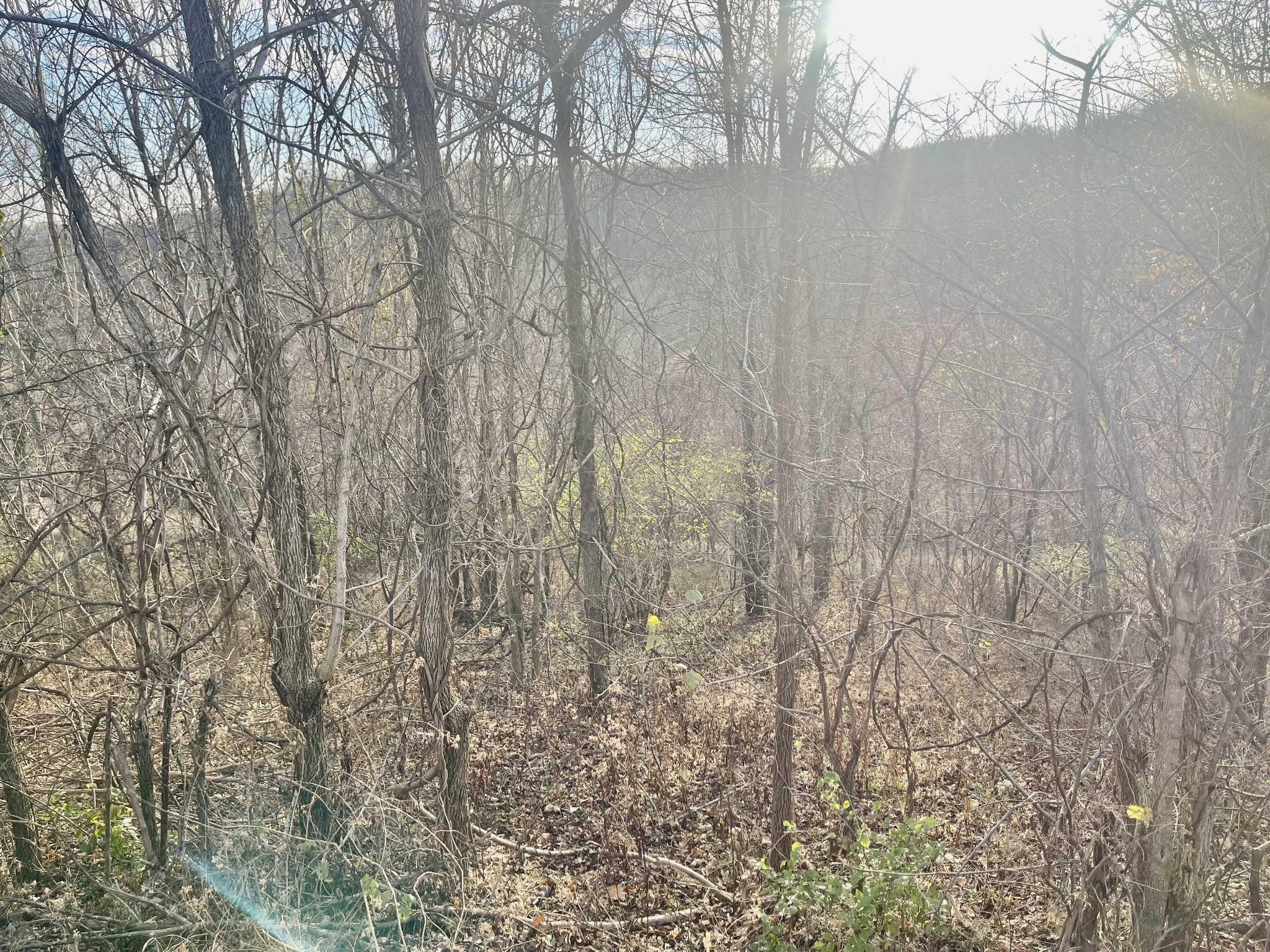 0 Old Lake Road Lewisburg TN 37091