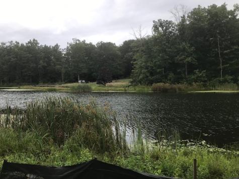 31 Lillypad Lane Tracy City TN 37387