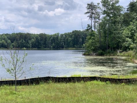 31 Lillypad Lane Tracy City TN 37387