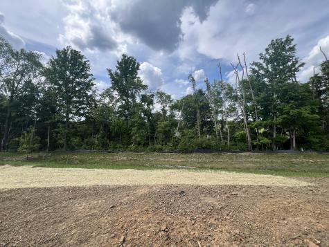 4154 Dream Beetle Loop Rockvale TN 37153