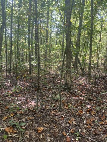 399 Gap Road Altamont TN 37301